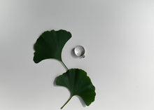Load image into Gallery viewer, Onyx Ring
